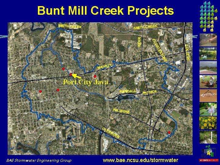 Bunt Mill Creek Projects Port City Java BAE Stormwater Engineering Group www. bae. ncsu.