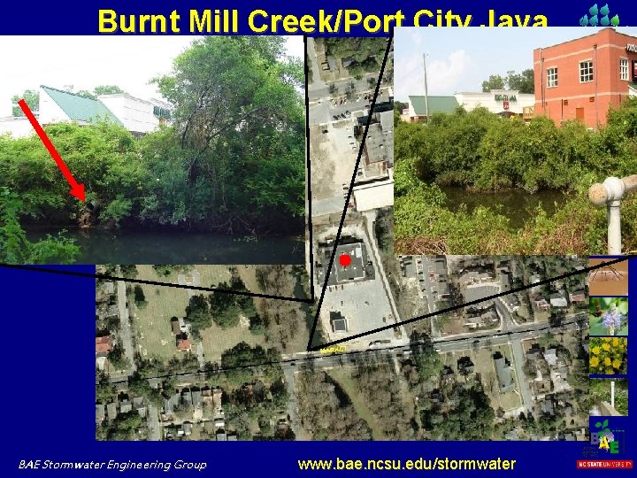 Burnt Mill Creek/Port City Java BAE Stormwater Engineering Group www. bae. ncsu. edu/stormwater 