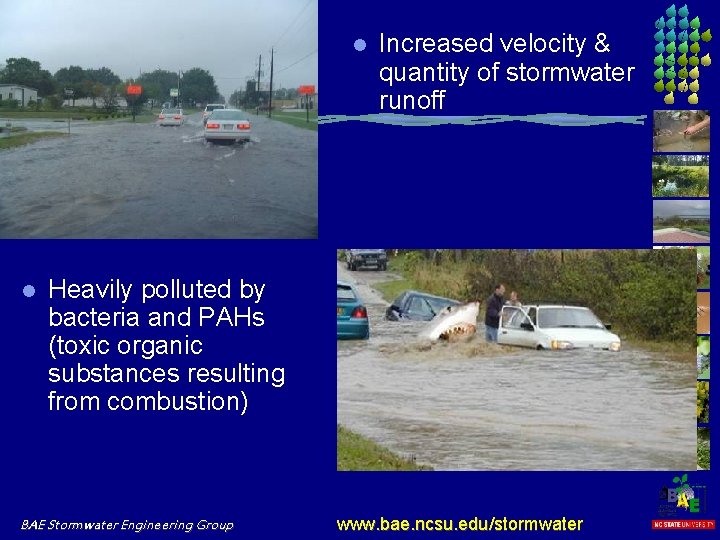l l Increased velocity & quantity of stormwater runoff Heavily polluted by bacteria and