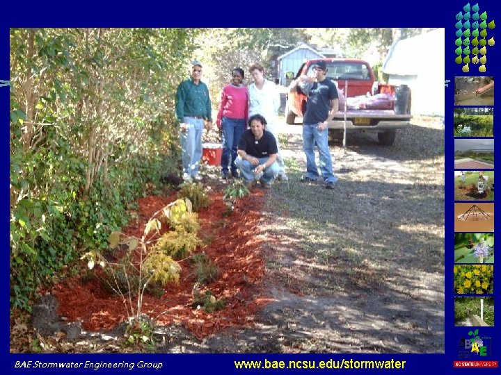 BAE Stormwater Engineering Group www. bae. ncsu. edu/stormwater 