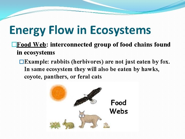 Energy Flow in Ecosystems �Food Web: interconnected group of food chains found in ecosystems