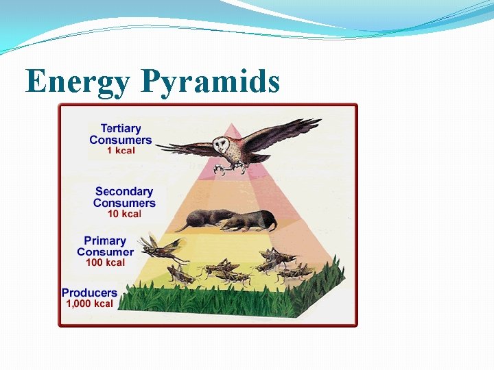 Energy Pyramids 