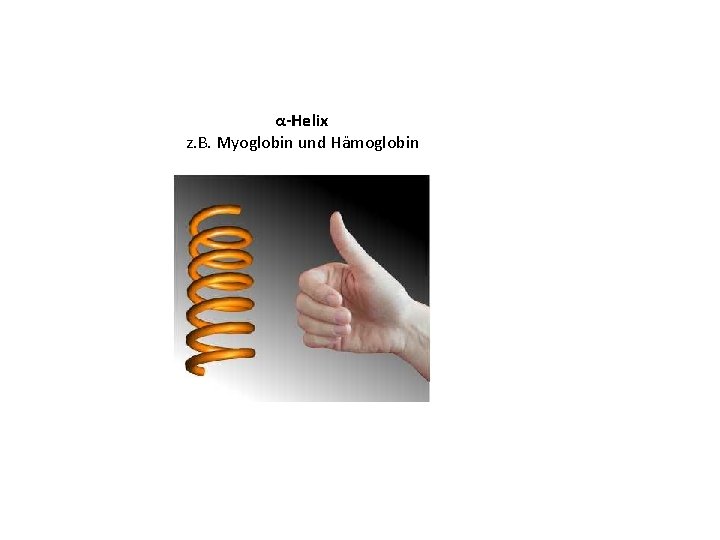 α-Helix z. B. Myoglobin und Hämoglobin 