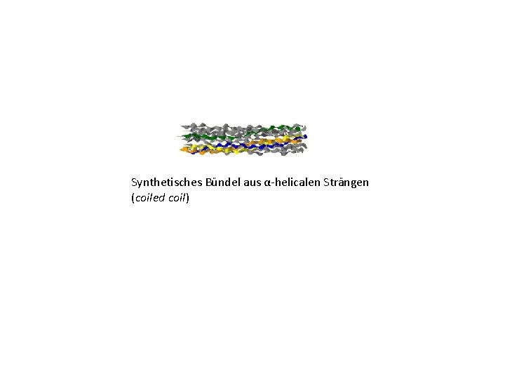 Synthetisches Bündel aus α-helicalen Strängen (coiled coil) 