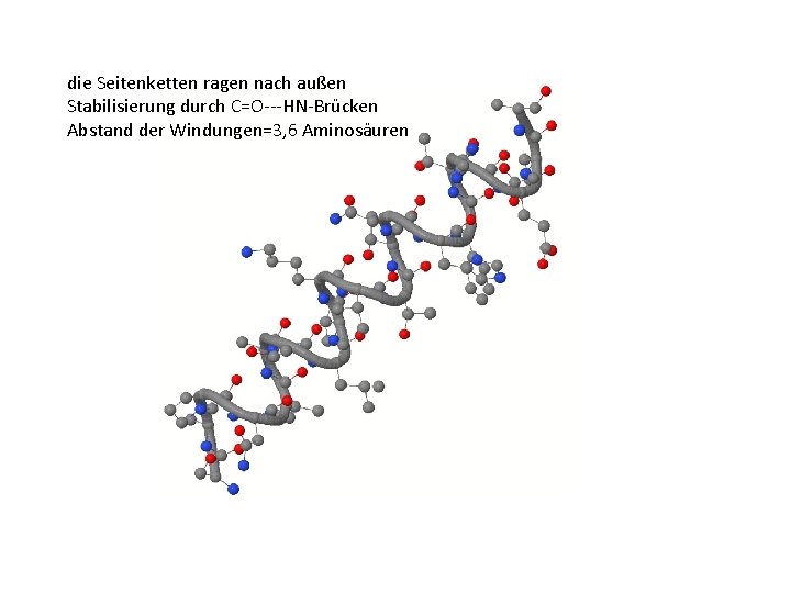 die Seitenketten ragen nach außen Stabilisierung durch C=O---HN-Brücken Abstand der Windungen=3, 6 Aminosäuren 