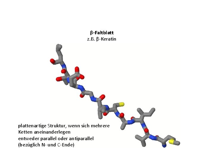 β-Faltblatt z. B. β-Keratin plattenartige Struktur, wenn sich mehrere Ketten aneinanderlegen entweder parallel oder