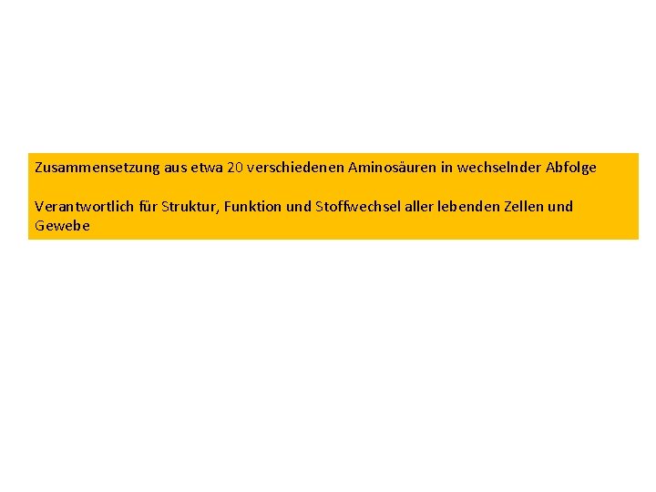 Zusammensetzung aus etwa 20 verschiedenen Aminosäuren in wechselnder Abfolge Verantwortlich für Struktur, Funktion und