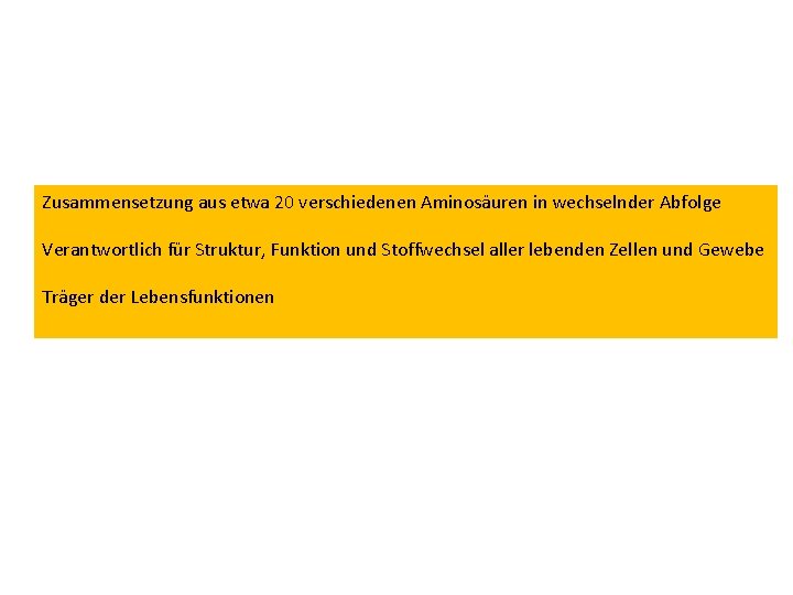 Zusammensetzung aus etwa 20 verschiedenen Aminosäuren in wechselnder Abfolge Verantwortlich für Struktur, Funktion und