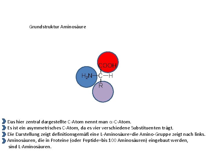 Grundstruktur Aminosäure Das hier zentral dargestellte C-Atom nennt man -C-Atom. Es ist ein asymmetrisches