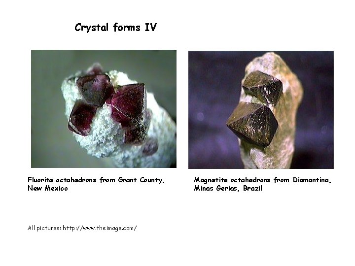 Crystal forms IV Fluorite octahedrons from Grant County, New Mexico All pictures: http: //www.