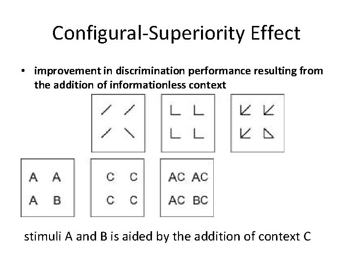 Configural-Superiority Effect • improvement in discrimination performance resulting from the addition of informationless context
