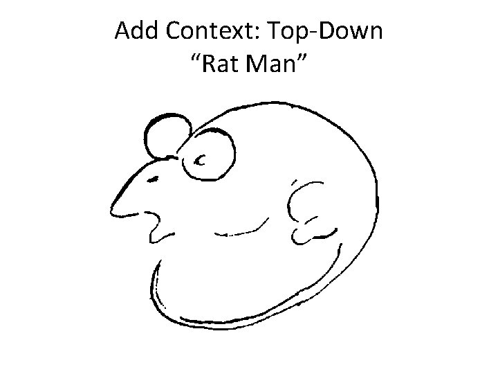Add Context: Top-Down “Rat Man” 