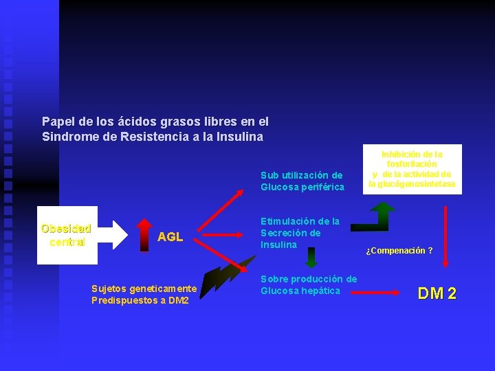 Papel de los ácidos grasos libres en el Sindrome de Resistencia a la Insulina