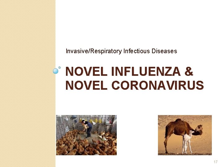 Invasive/Respiratory Infectious Diseases NOVEL INFLUENZA & NOVEL CORONAVIRUS 17 