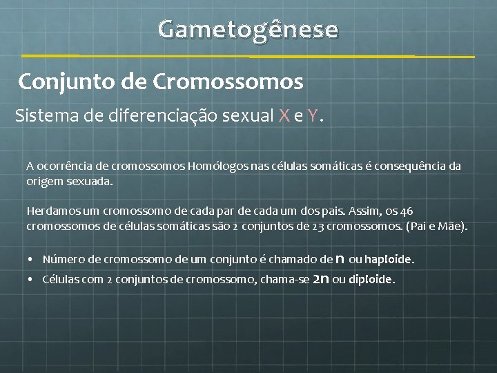 Gametogênese Conjunto de Cromossomos Sistema de diferenciação sexual X e Y. A ocorrência de