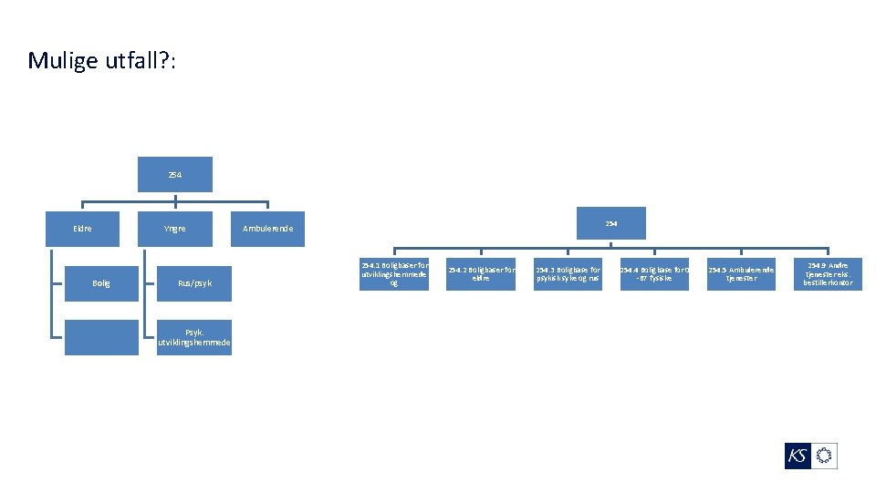 Mulige utfall? : 254 Eldre Yngre Bolig Rus/psyk Psyk. utviklingshemmede 254 Ambulerende 254. 1