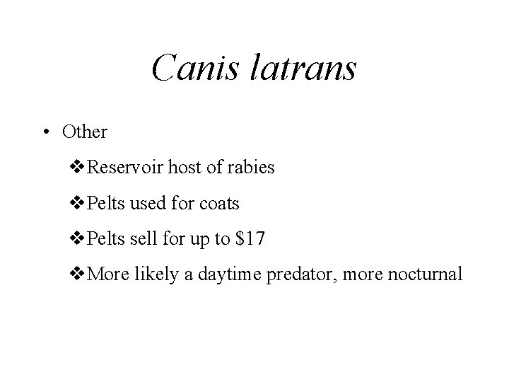 Canis latrans • Other v. Reservoir host of rabies v. Pelts used for coats