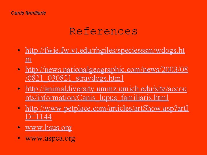 Canis familiaris References • http: //fwie. fw. vt. edu/rhgiles/speciesssm/wdogs. ht m • http: //news.