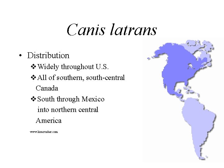 Canis latrans • Distribution v. Widely throughout U. S. v. All of southern, south-central