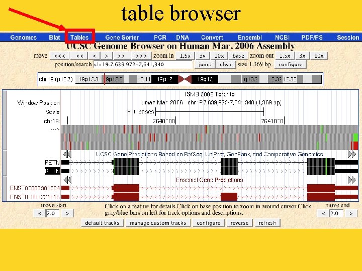 table browser 