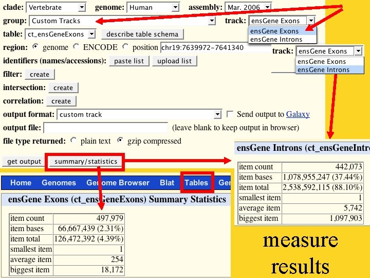 measure results 