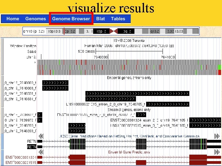 visualize results 