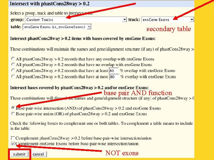 secondary table base pair AND function NOT exons 