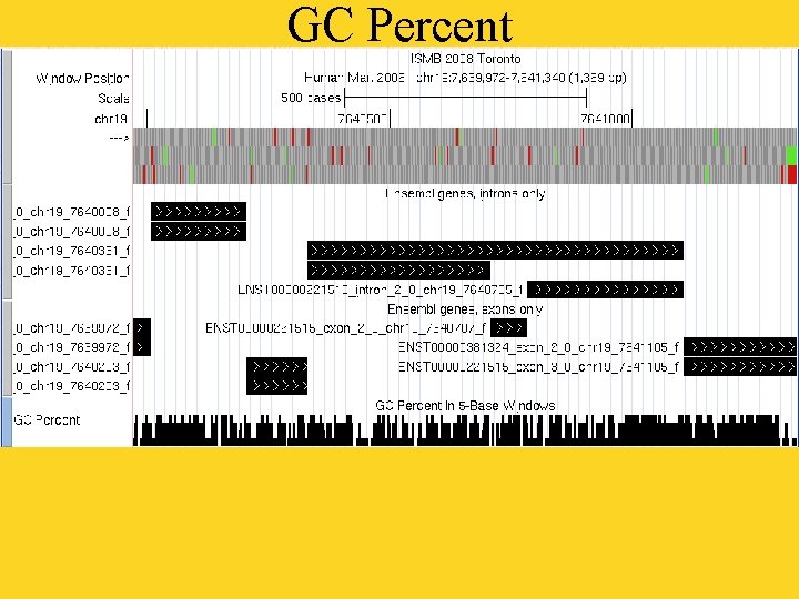 GC Percent 