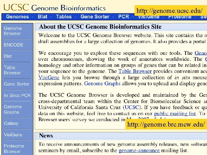 http: //genome. ucsc. edu/ http: //genome. brc. mcw. edu/ 