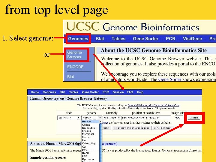 from top level page 1. Select genome: or 