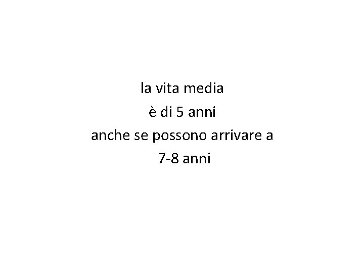 la vita media è di 5 anni anche se possono arrivare a 7 -8