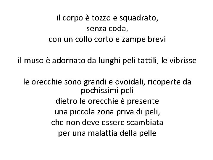 il corpo è tozzo e squadrato, senza coda, con un collo corto e zampe