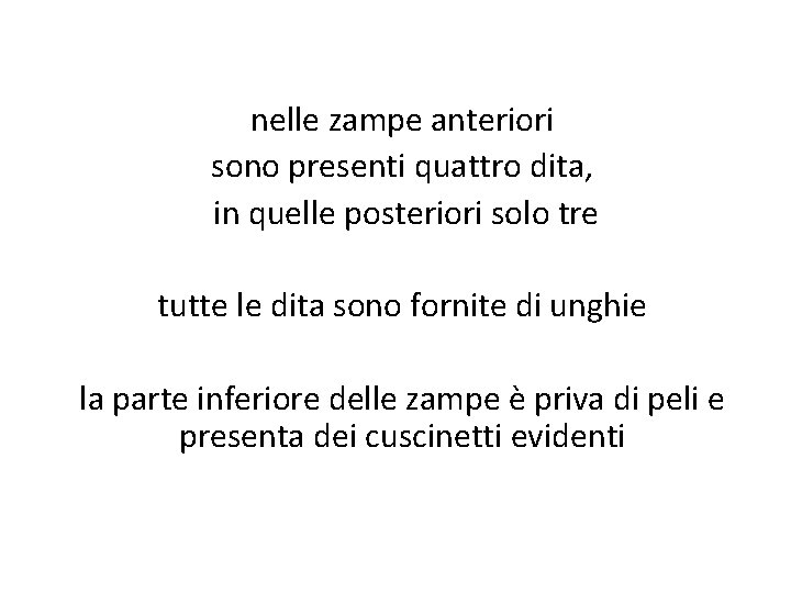 nelle zampe anteriori sono presenti quattro dita, in quelle posteriori solo tre tutte le