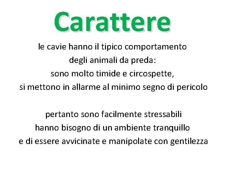 Carattere le cavie hanno il tipico comportamento degli animali da preda: sono molto timide