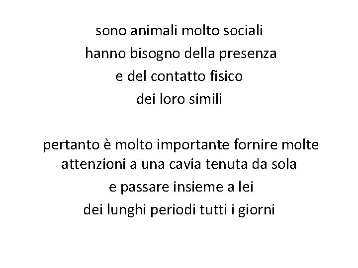 sono animali molto sociali hanno bisogno della presenza e del contatto fisico dei loro