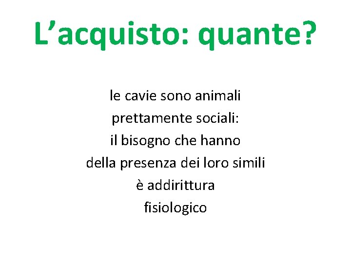 L’acquisto: quante? le cavie sono animali prettamente sociali: il bisogno che hanno della presenza