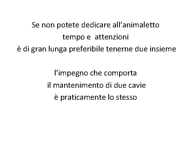 Se non potete dedicare all’animaletto tempo e attenzioni è di gran lunga preferibile tenerne