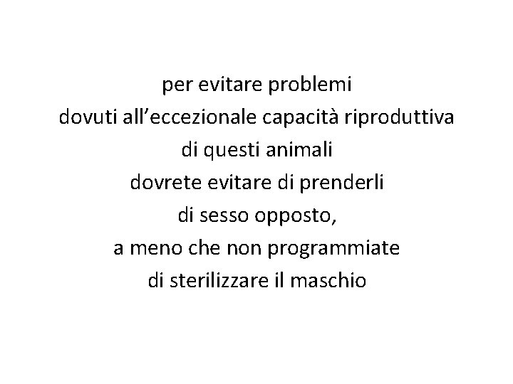 per evitare problemi dovuti all’eccezionale capacità riproduttiva di questi animali dovrete evitare di prenderli