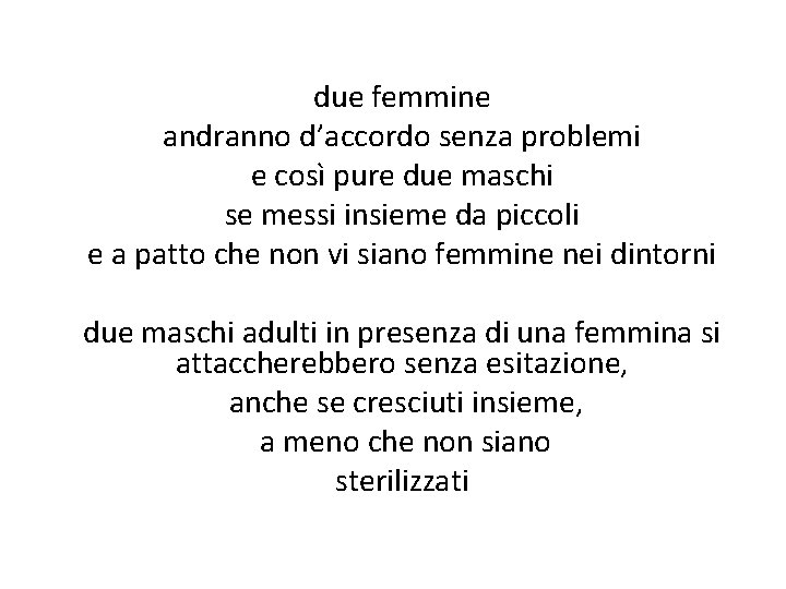 due femmine andranno d’accordo senza problemi e così pure due maschi se messi insieme