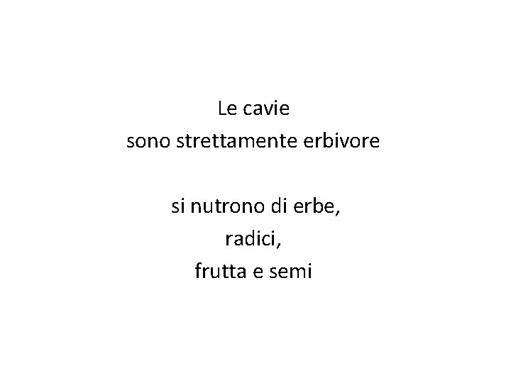 Le cavie sono strettamente erbivore si nutrono di erbe, radici, frutta e semi 