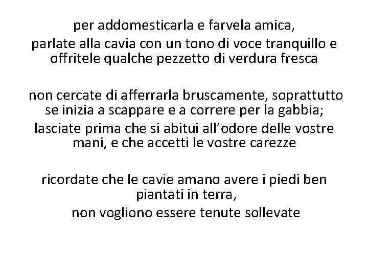 per addomesticarla e farvela amica, parlate alla cavia con un tono di voce tranquillo