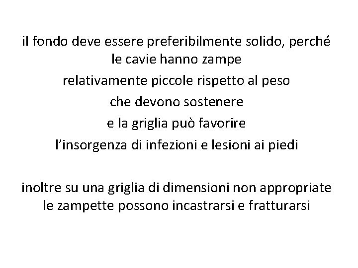 il fondo deve essere preferibilmente solido, perché le cavie hanno zampe relativamente piccole rispetto