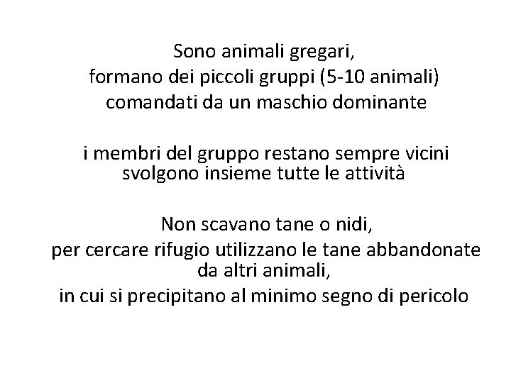 Sono animali gregari, formano dei piccoli gruppi (5 -10 animali) comandati da un maschio