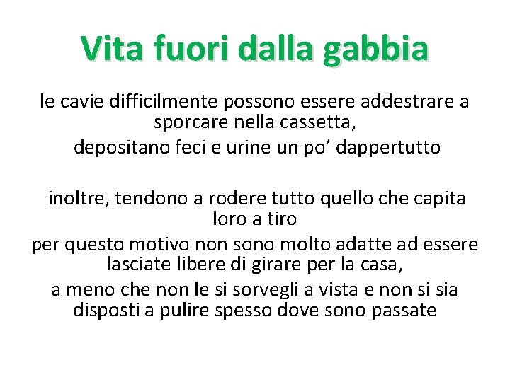 Vita fuori dalla gabbia le cavie difficilmente possono essere addestrare a sporcare nella cassetta,