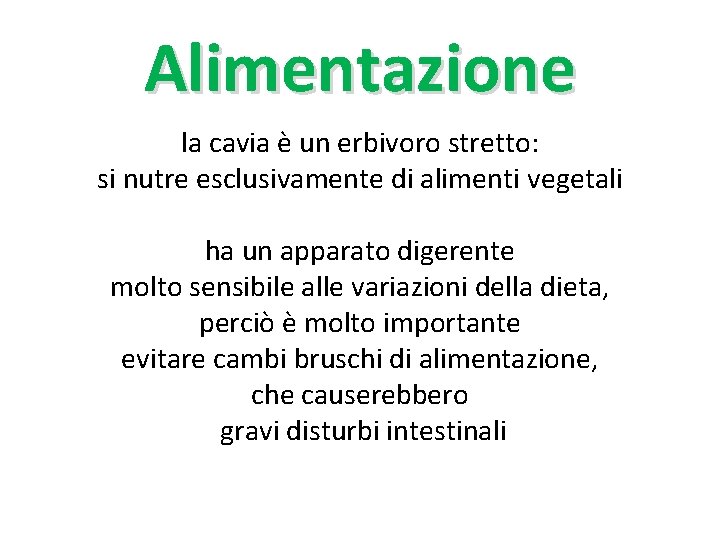 Alimentazione la cavia è un erbivoro stretto: si nutre esclusivamente di alimenti vegetali ha