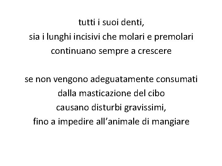 tutti i suoi denti, sia i lunghi incisivi che molari e premolari continuano sempre
