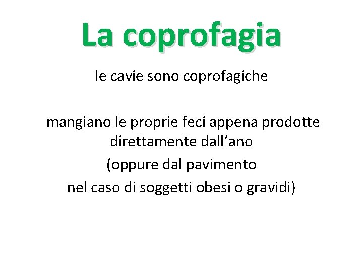 La coprofagia le cavie sono coprofagiche mangiano le proprie feci appena prodotte direttamente dall’ano