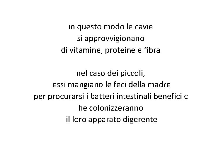 in questo modo le cavie si approvvigionano di vitamine, proteine e fibra nel caso