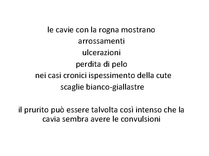 le cavie con la rogna mostrano arrossamenti ulcerazioni perdita di pelo nei casi cronici