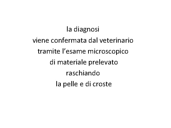 la diagnosi viene confermata dal veterinario tramite l’esame microscopico di materiale prelevato raschiando la